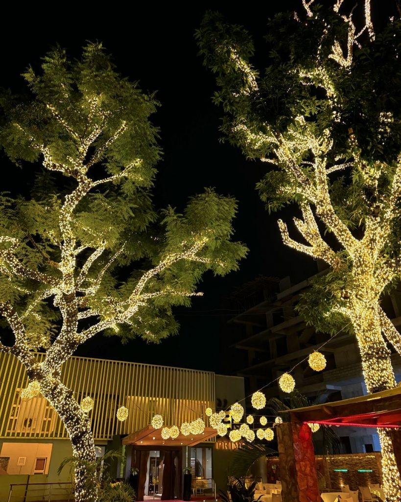 Beautifully lit trees at Prime Chinese restaurant