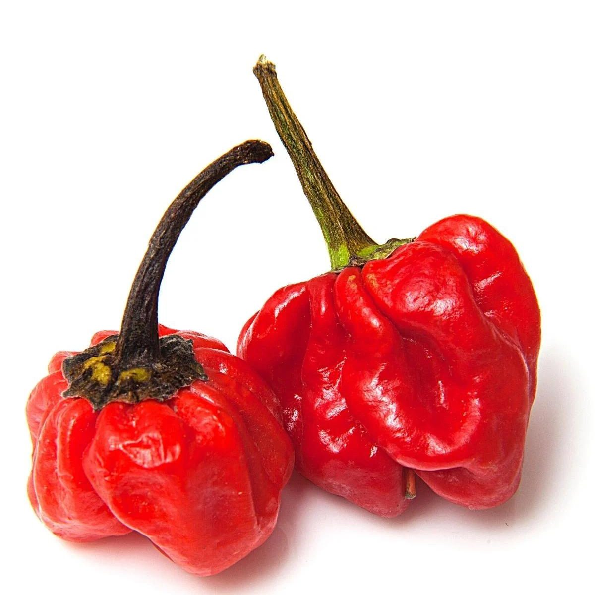 Scotch bonnet or ata rodo